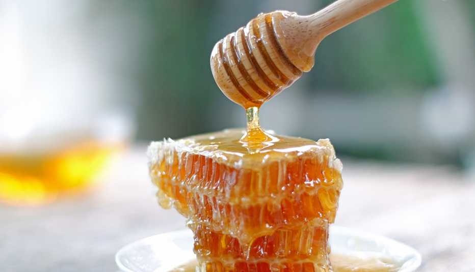 Honey: The Sweet Science Behind Role in Memory